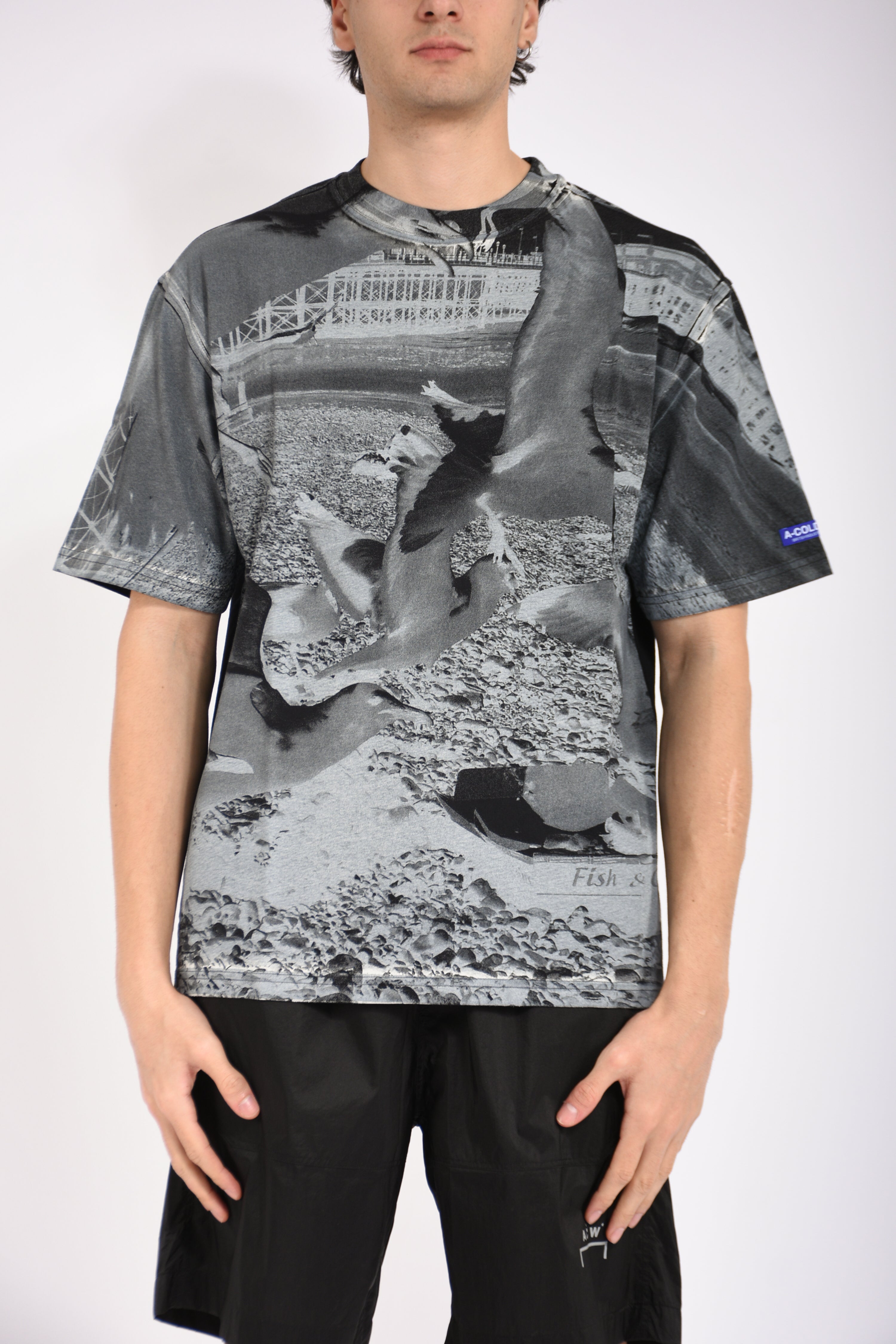 t-shirt seagull beach