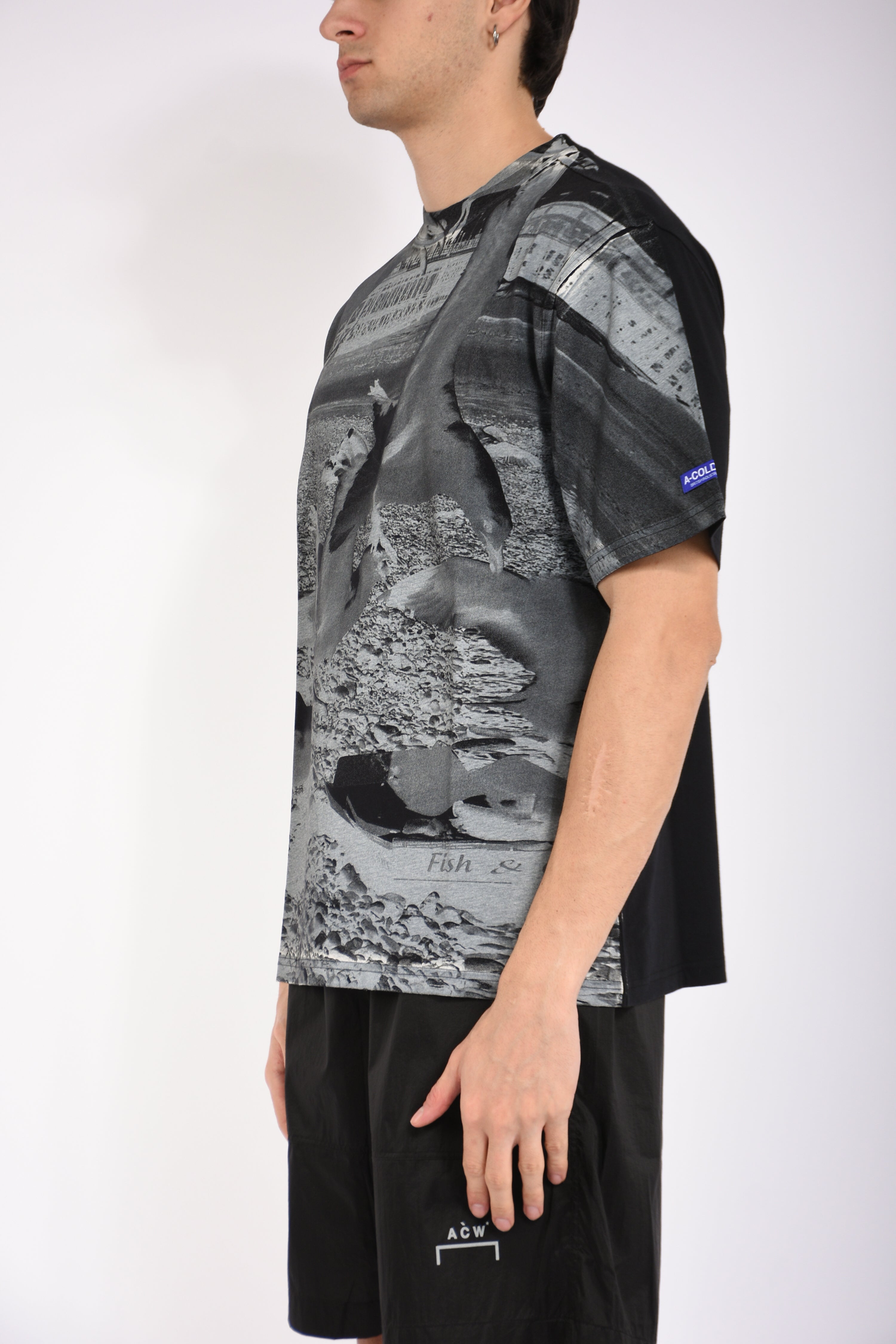 t-shirt seagull beach