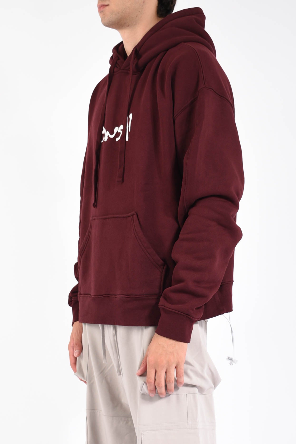 felpa con cappuccio SEASONAL GRAPHIC