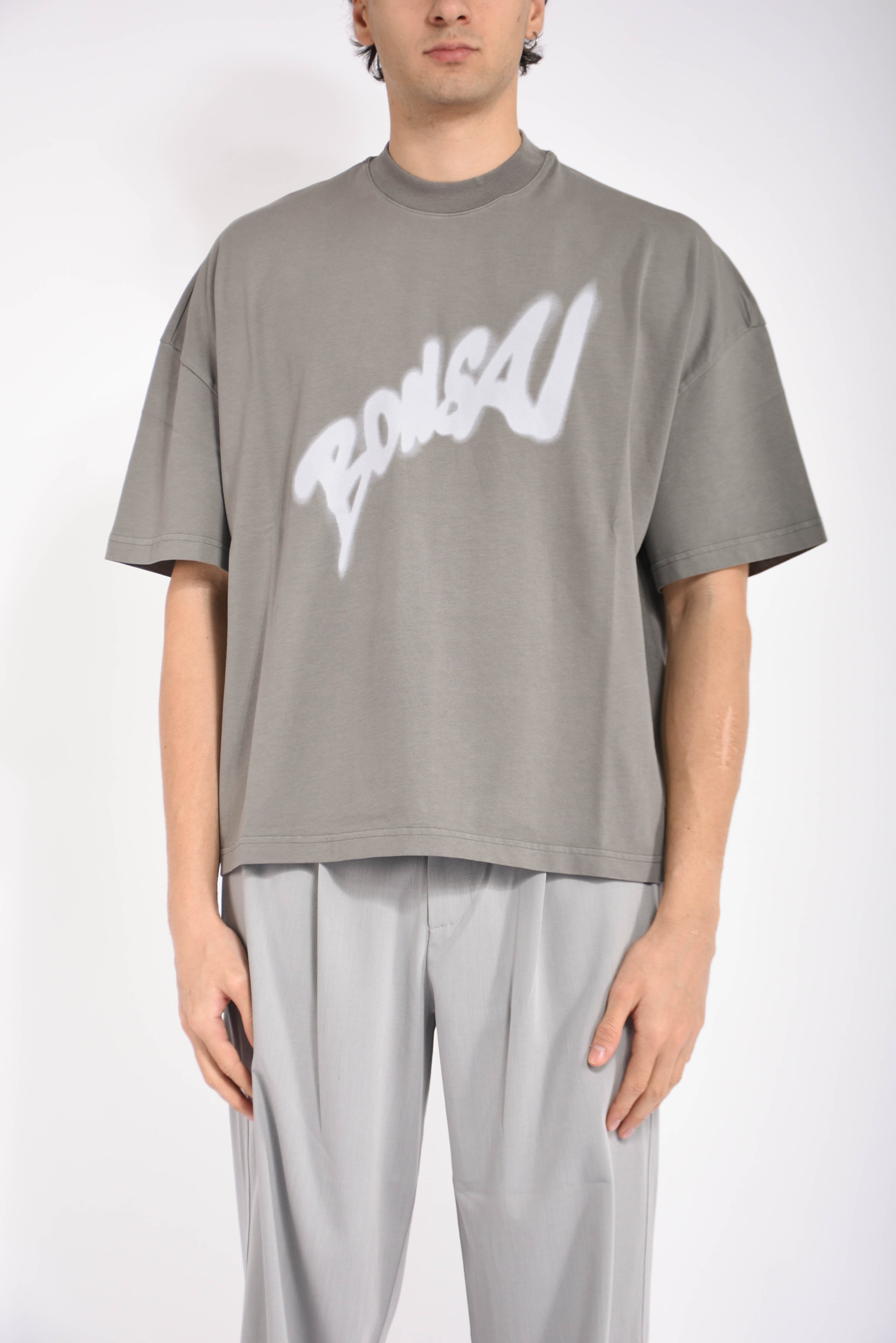 t-shirt seasonal logo graphic