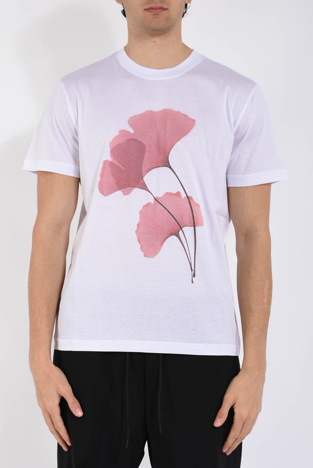 T-shirt in cotone