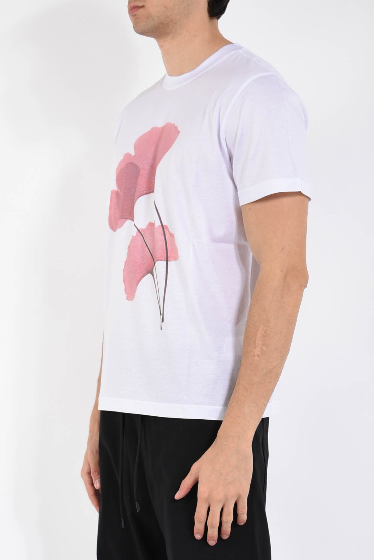 T-shirt in cotone