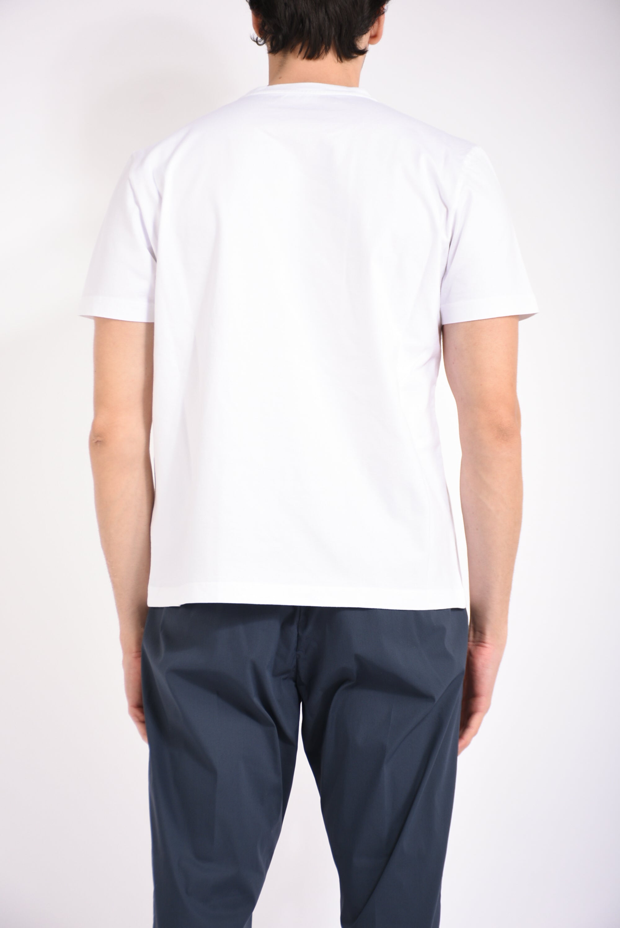 T-shirt in cotone