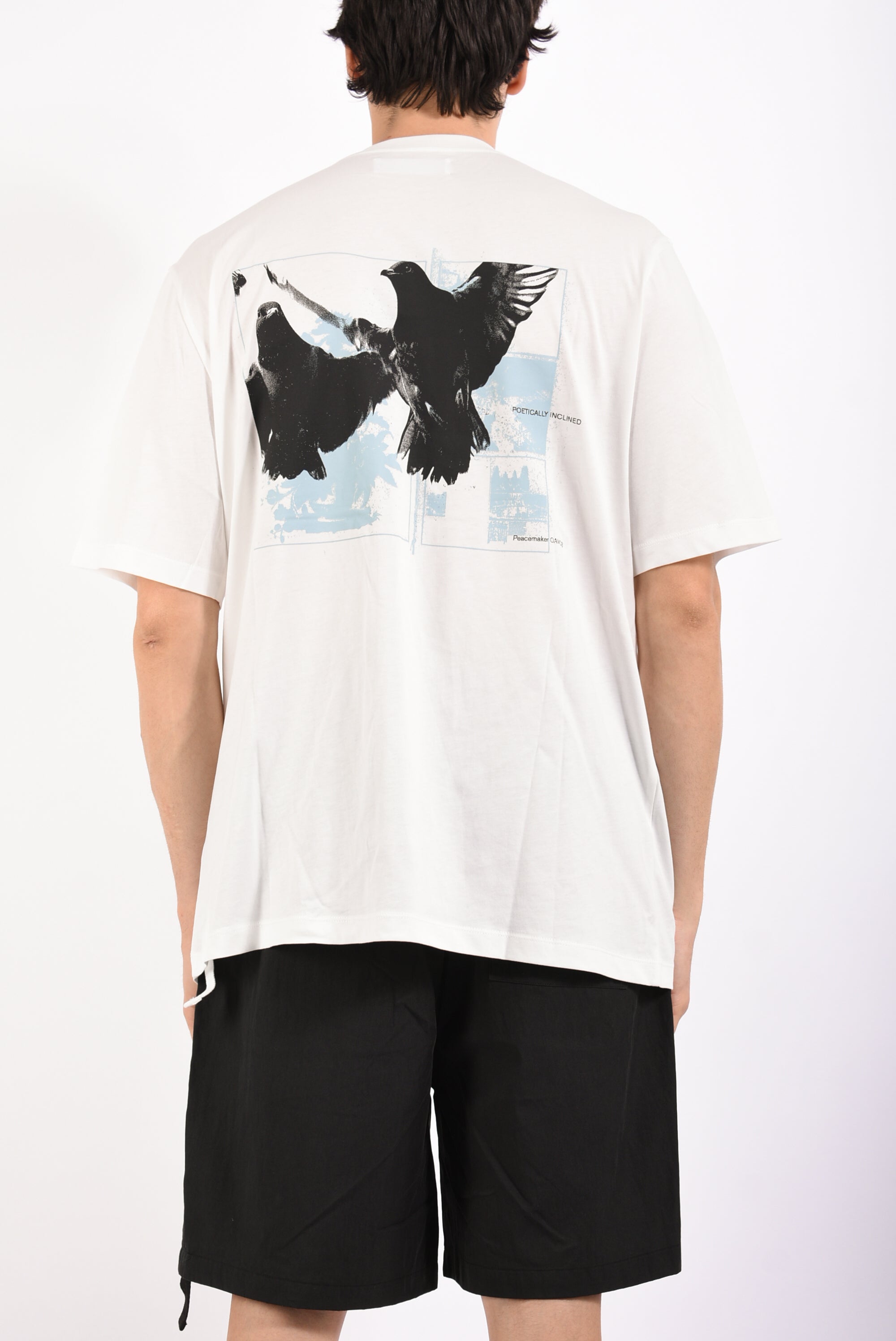 t-shirt in cotone