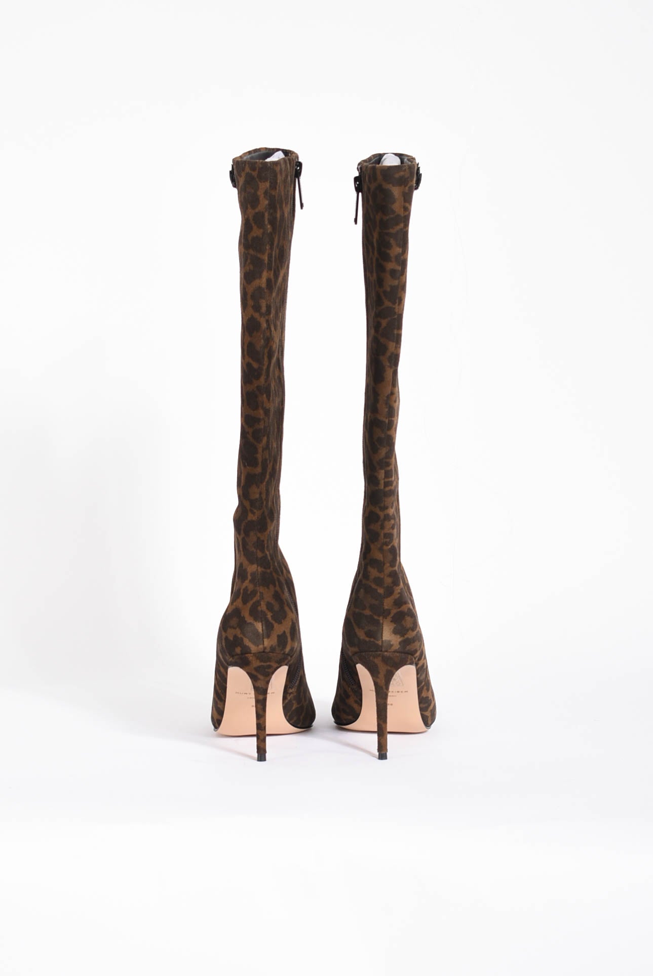 stivali belgravia knee