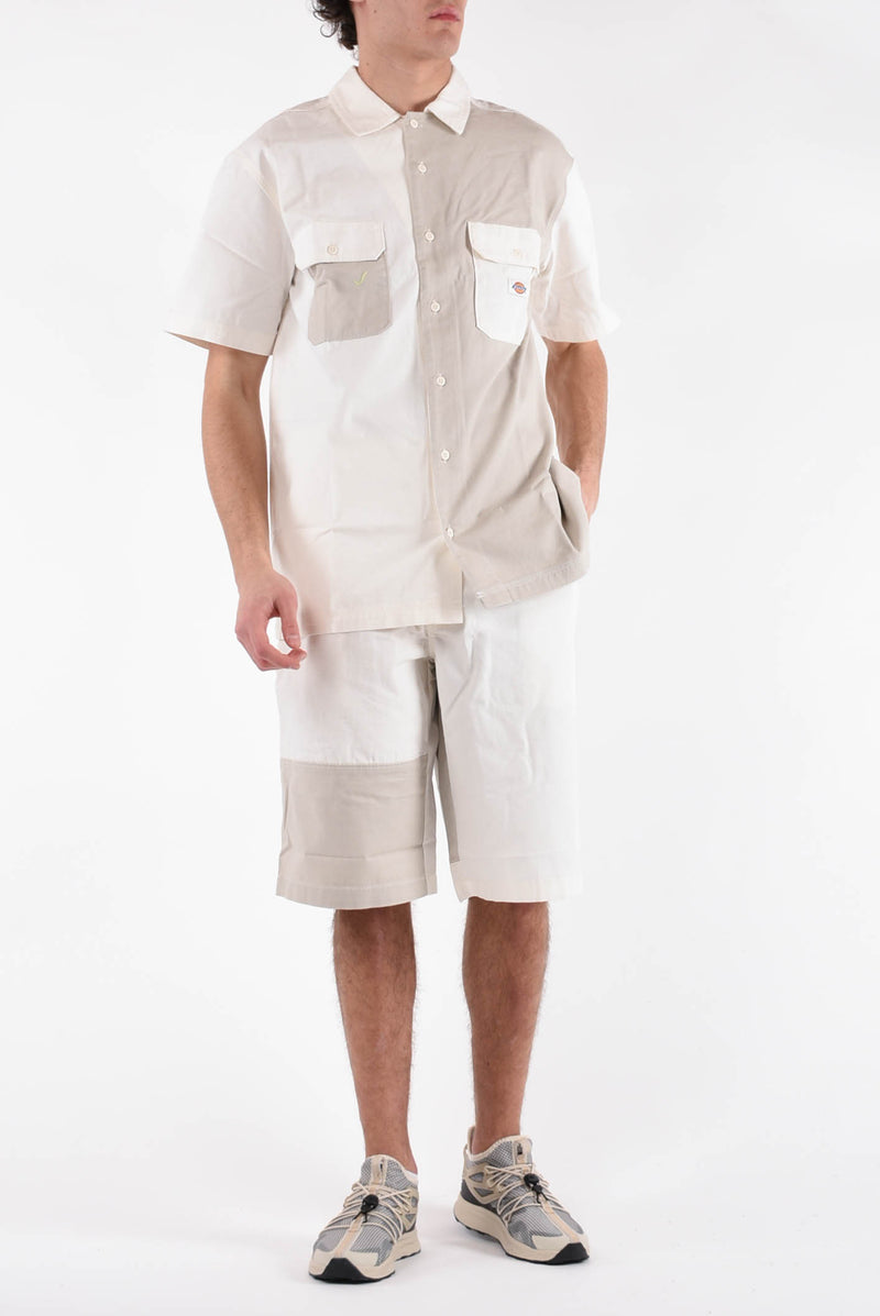 DICKIES Bermuda eddyville in cotone
