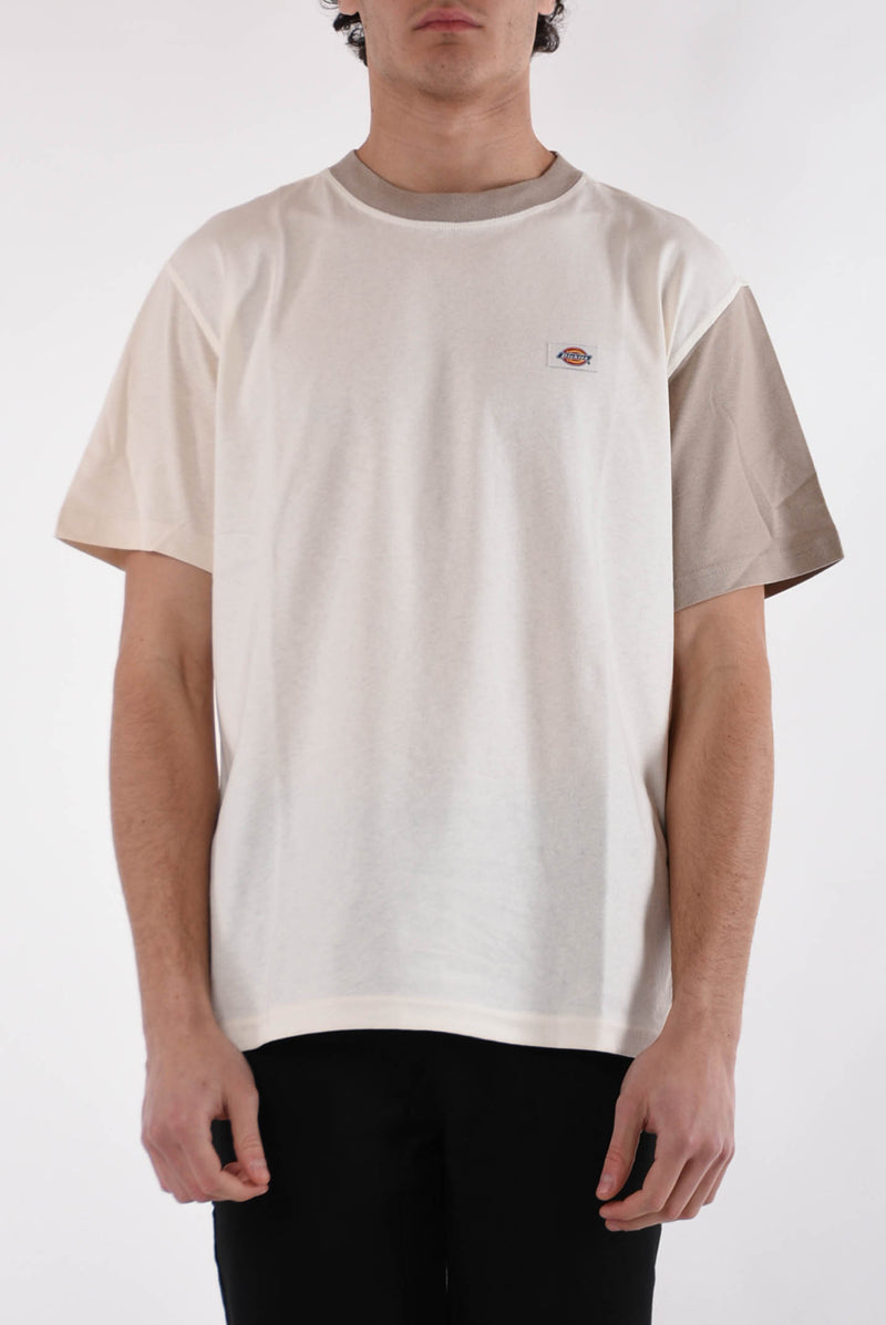 DICKIES T-shirt eddyville in cotone