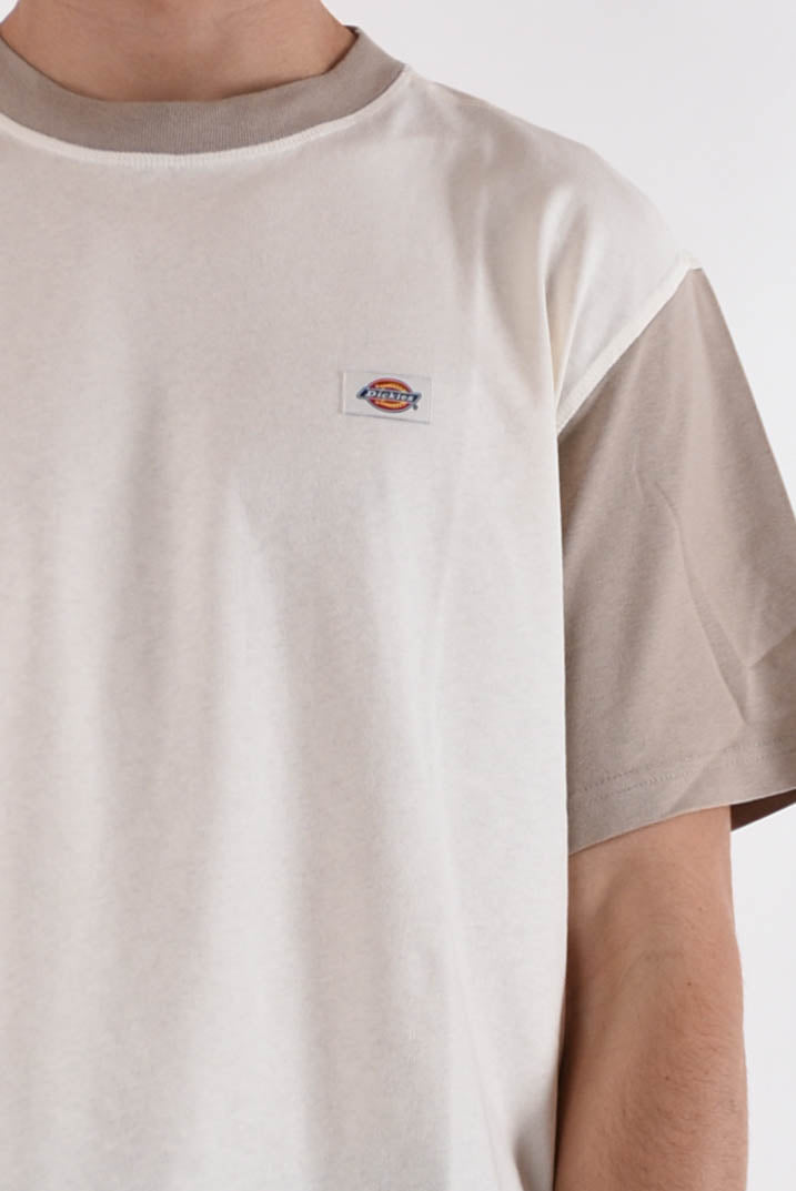 DICKIES T-shirt eddyville in cotone