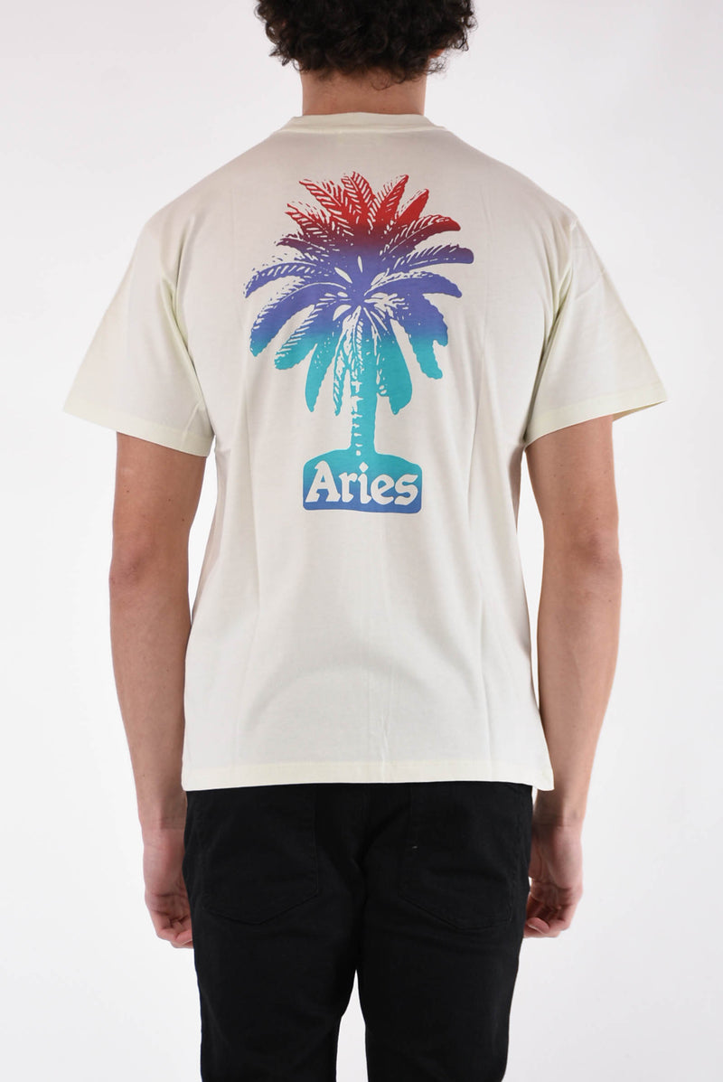 ARIES T-shirt palm